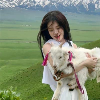 老爷坦克少爷兵